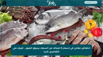 انخفاض مفاجئ في أسعار 6 أصناف من السمك بسوق العبور.. تعرف على التفاصيل الآن!